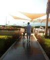 Martin Curiel user photo